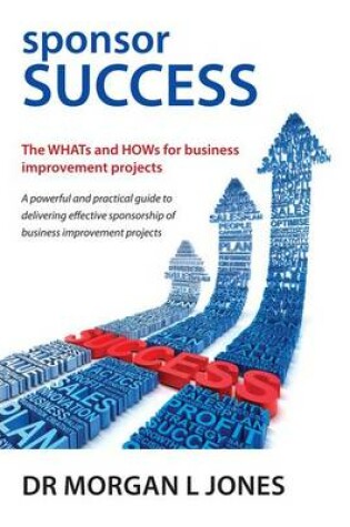 Cover of Sponsor Success - The Whats and Hows for Business Improvement Projects