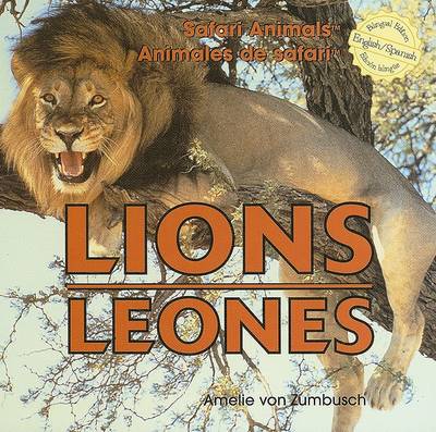 Cover of Lions / Leones