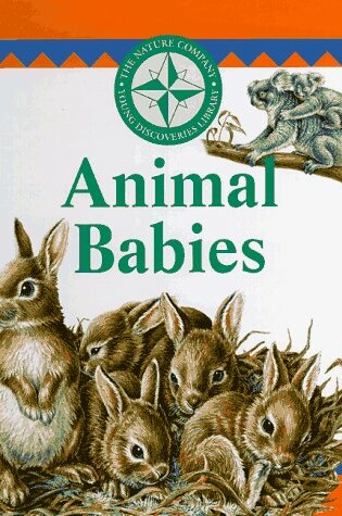 Cover of Animal Babies