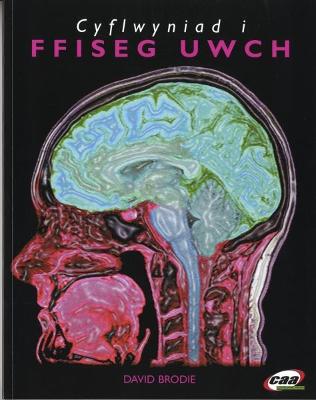 Book cover for Cyflwyniad i Ffiseg Uwch