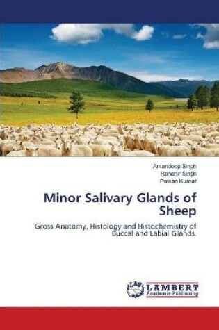 Cover of Minor Salivary Glands of Sheep