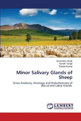 Book cover for Minor Salivary Glands of Sheep