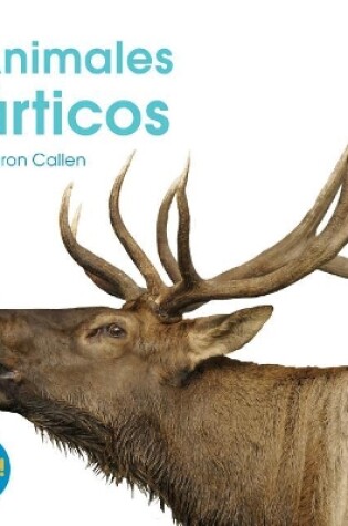 Cover of Animales Árticos