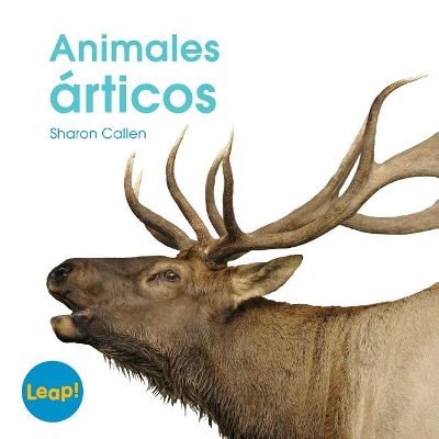 Book cover for Animales Árticos