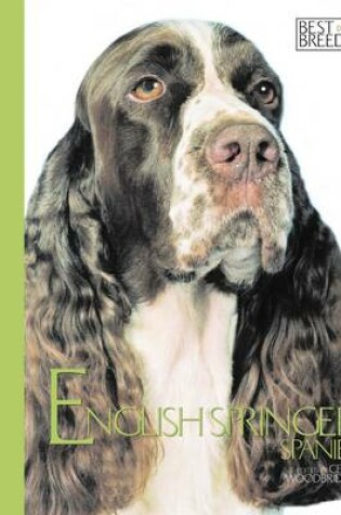 Cover of English Springer Spaniel