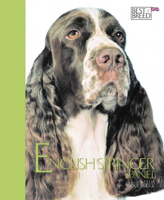 Cover of English Springer Spaniel