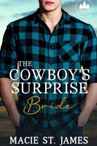 Cover of The Cowboy's Surprise Bride