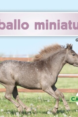 Cover of Caballo miniatura (Miniature Horses)