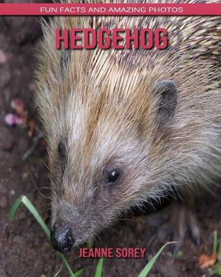 Book cover for Hedgehog