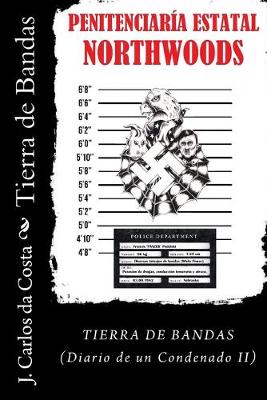 Book cover for Tierra de Bandas