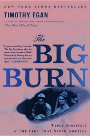 The Big Burn