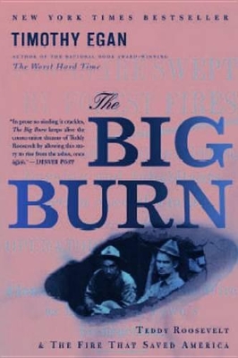 Book cover for The Big Burn