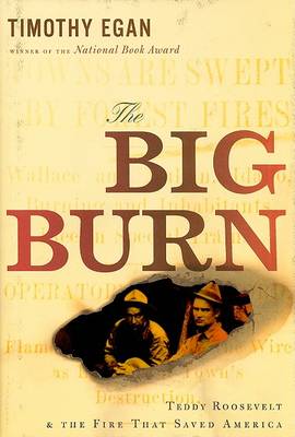 Cover of Big Burn