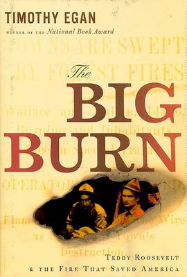 Book cover for Big Burn