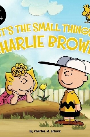 Cover of It's the Small Things, Charlie Brown!