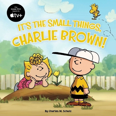 Book cover for It's the Small Things, Charlie Brown!