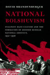Book cover for National Bolshevism