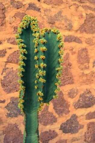 Cover of A Cactus and a Stonewall