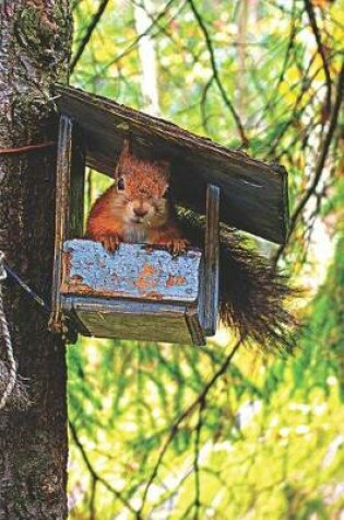 Cover of Red Squirrel in Bird Feeder