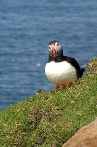 Cover of Cute Puffin on a Hill in the Faroe Islands Animal Journal