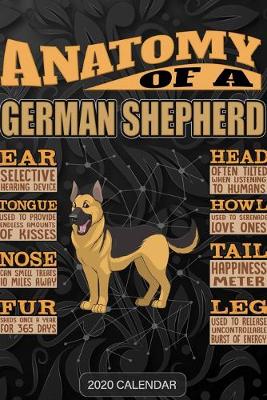 Book cover for Anatomy Of A German Shepherd