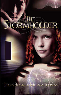 Book cover for The Stormholder