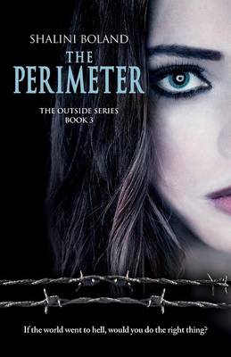 Book cover for The Perimeter