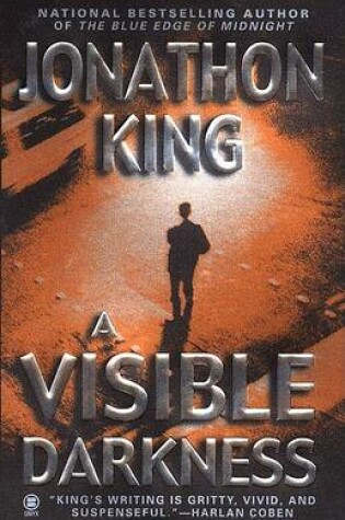 Cover of A Visible Darkness