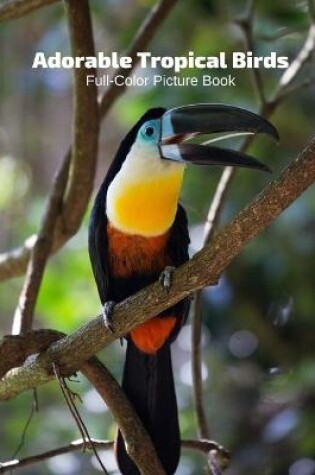 Cover of Adorable Tropical Birds Full-Color Picture Book