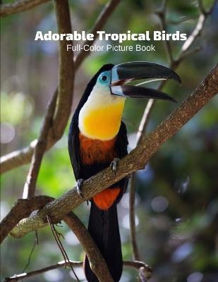 Book cover for Adorable Tropical Birds Full-Color Picture Book