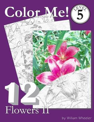 Book cover for Color Me! Flowers II