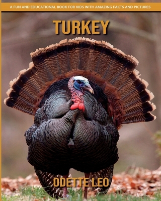 Book cover for Turkey