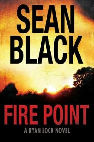 Cover of Fire Point