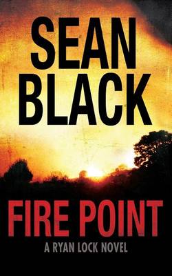 Cover of Fire Point