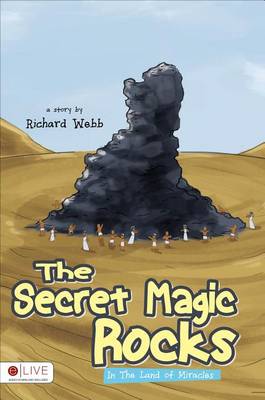 Book cover for The Secret Magic Rocks