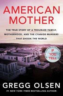 Book cover for American Mother