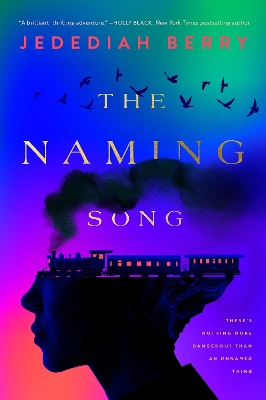 Book cover for The Naming Song