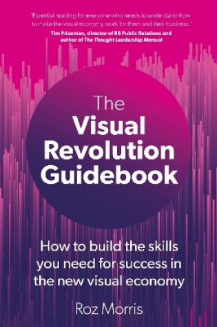 Cover of The Visual Revolution Guidebook