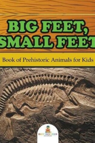 Cover of Big Feet, Small Feet