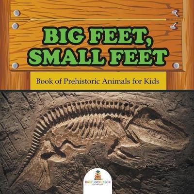 Book cover for Big Feet, Small Feet