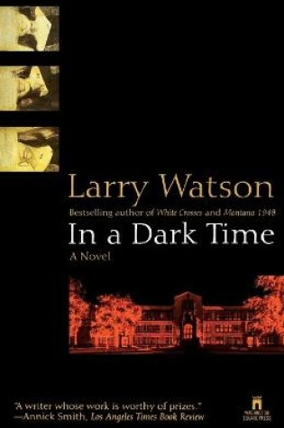 Cover of In a Dark Time