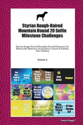 Book cover for Styrian Rough-Haired Mountain Hound 20 Selfie Milestone Challenges