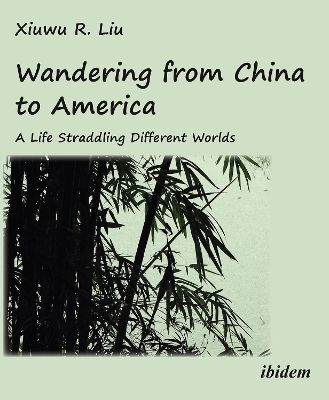 Cover of Wandering from China to America