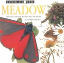 Book cover for Meadow