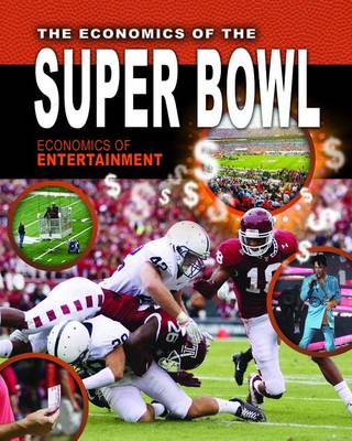 Book cover for The Economics of the Super Bowl
