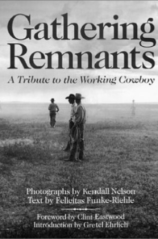Cover of Gathering Remnants