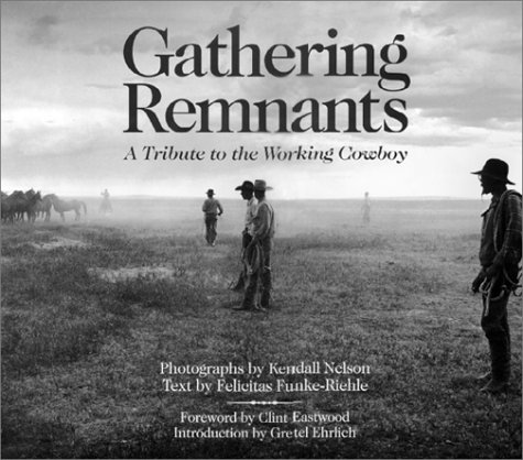 Book cover for Gathering Remnants