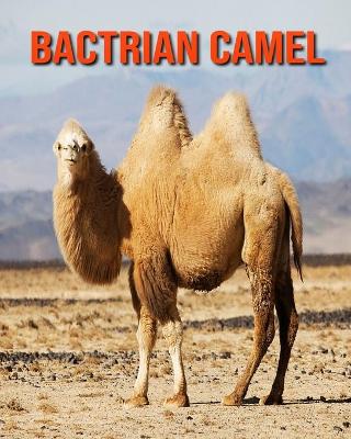 Book cover for Bactrian Camel