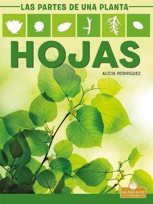 Book cover for Hojas (Leaves)