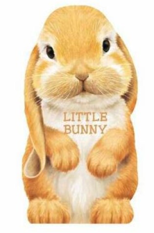 Cover of Little Bunny